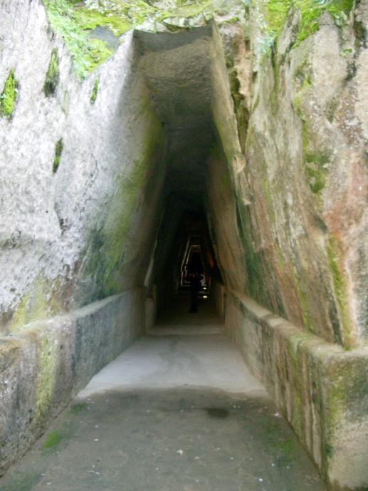 image11